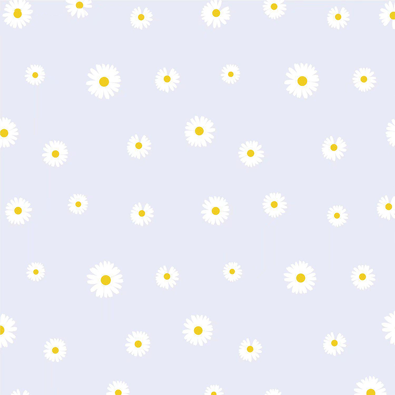 Papier do pakowania kwiatów MYHC-18 Fresh Little Daisy Pearl Film