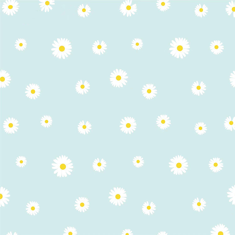 Papier do pakowania kwiatów MYHC-18 Fresh Little Daisy Pearl Film
