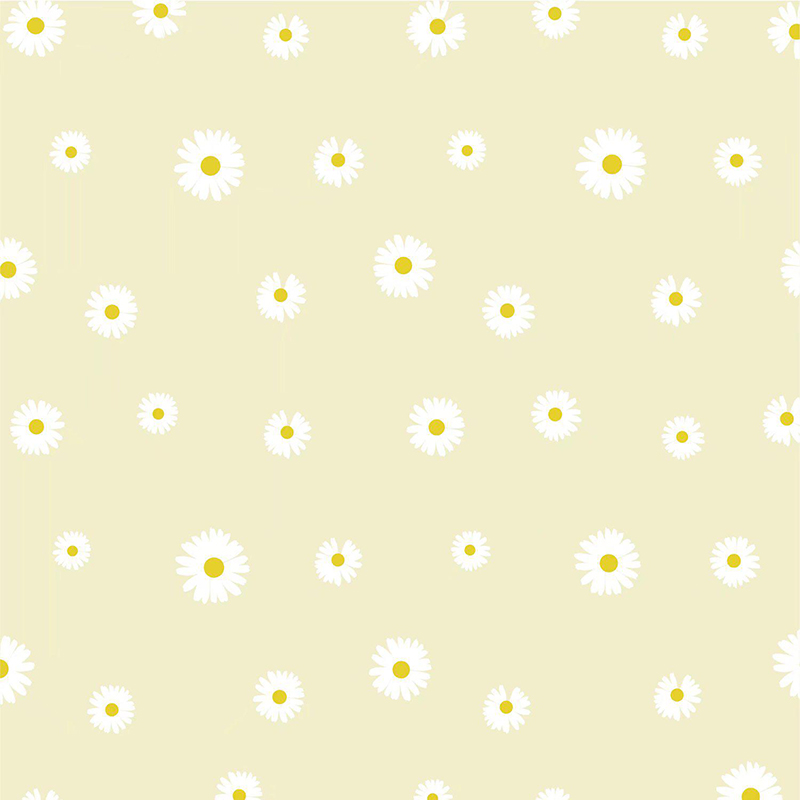 Papier do pakowania kwiatów MYHC-18 Fresh Little Daisy Pearl Film